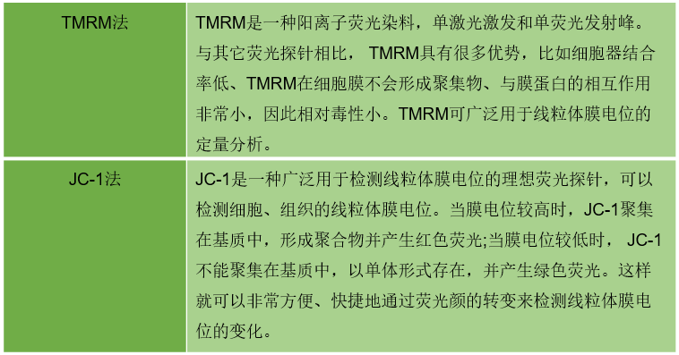 线粒体电位（TMRM法，JC-1法）测定