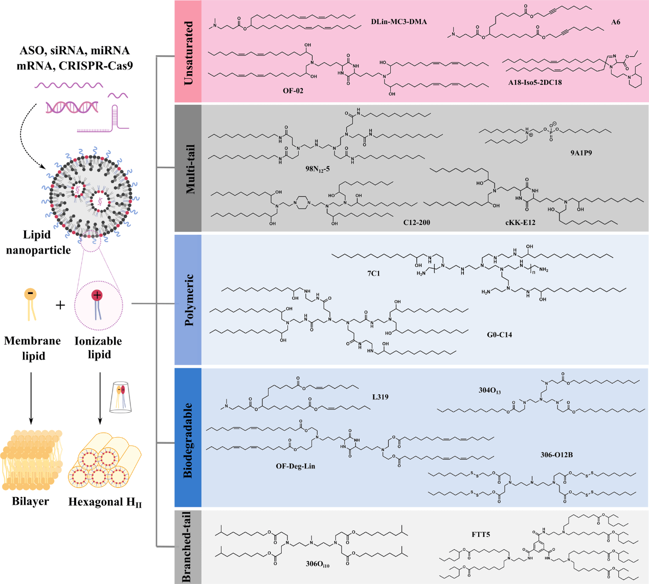 可电离脂质工具，助力 RNA 递送