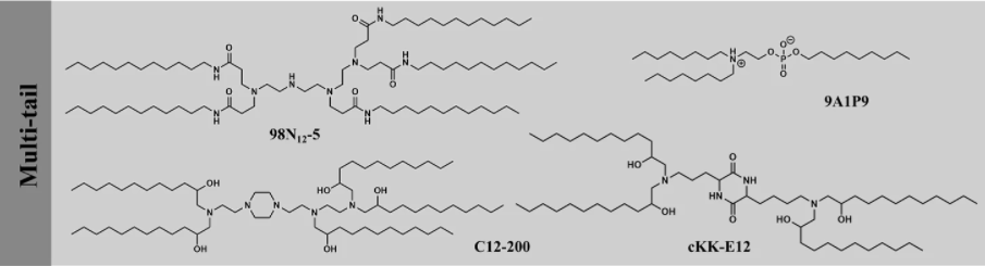 可电离脂质工具，助力 RNA 递送