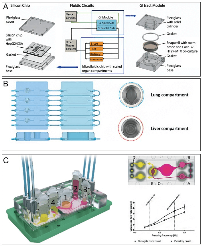 肝脏器官芯片构建技术