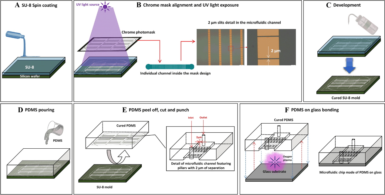 mimic spleen microfluidics