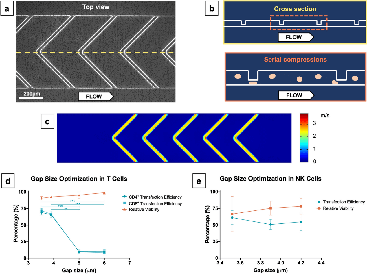 Novel microfluidic device, mRNA cell delivery