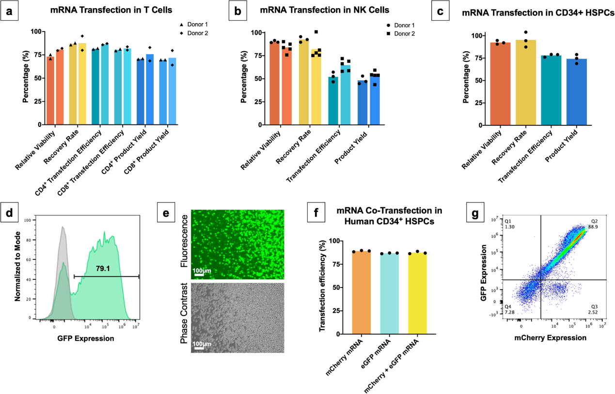 Novel microfluidic device, mRNA cell delivery