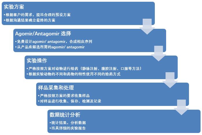 MicroRNA Agomir/Antagomir体内药物动力学研究